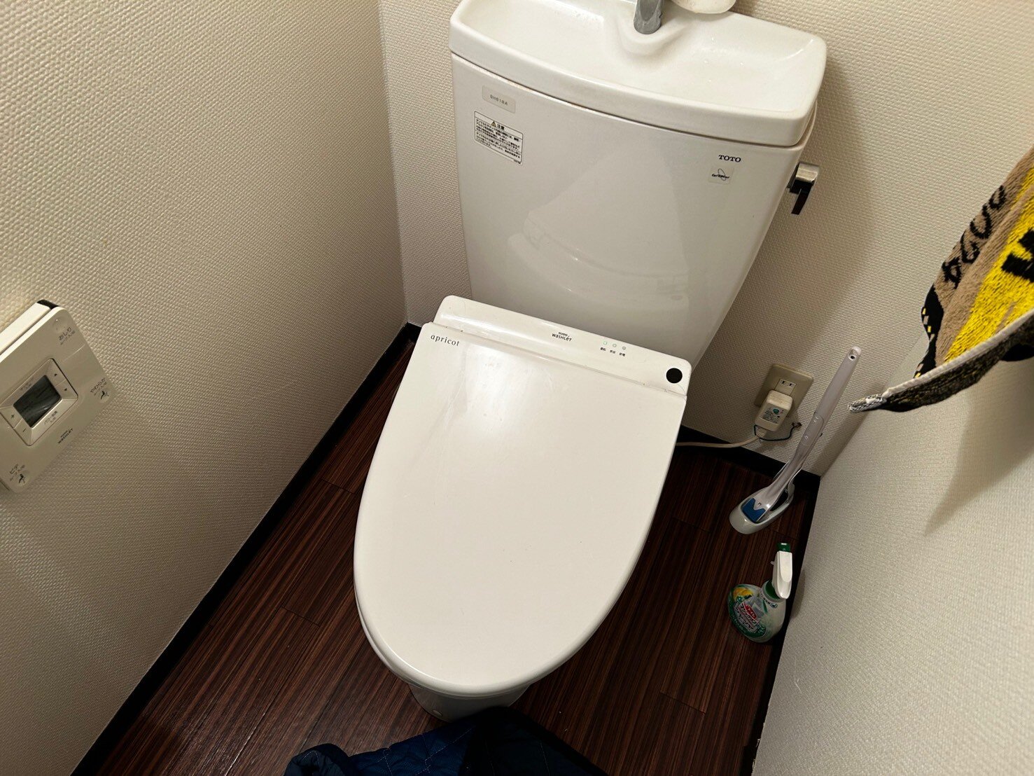 TOTO TCF4311 アプリコット.jpg